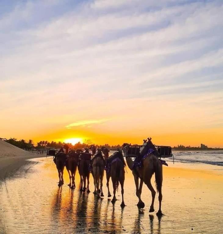 Marsallis Flat Vista Mar Jr ناتال المظهر الخارجي الصورة